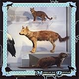 MUSEUM OF DANNYS                                   image