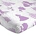 Jay Franco Belle En Rose Beauty and The Beast, Twin Sheet Set White