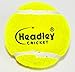 Headley Cricket Ball Heavy Tennis Balls (Yellow, 6-Pack)