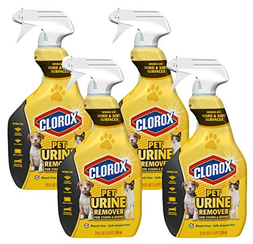 clorox urine