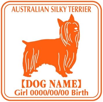 Amazon Co Jp ワラ犬 オーストラリアンシルキーテリア ステッカー ｅパターン ボーイブラウン 茶色 ペット用品