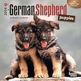 German Shepherd Puppies 2016 Mini 7x7