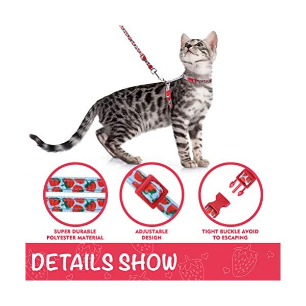 cat harness animates