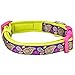 Blueberry Pet 5 Patterns Soft & Comfy Paisley Flower Print Neoprene Padded Adjustable Dog Collar, Dark Orchid, Large, Neck 18