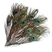Polytree 10 Pcs Natural Peacock Feather with Eye Tail Feathers for Home Decor