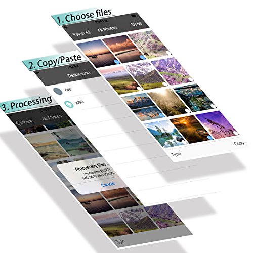 USB Stick pour iPhone Clé 16GO ATIMESPAL iPhone Mémoire avec Connecteur Lightning (16GB)