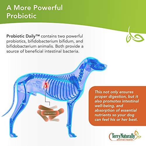 Terry Naturally Animal Health Probiotic Daily 60 Chewable Tablets