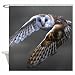 Mykey shower curtain NFL raiders vapors jet gloves bath curtain 60"*72"