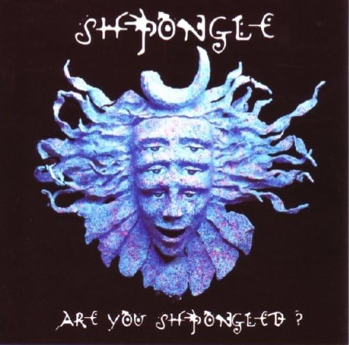 Are 秋冬新作 You Shpongled