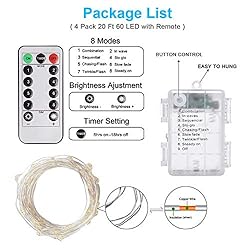Homemory 4 Pack 20 Ft 60 LED Fairy Lights Battery