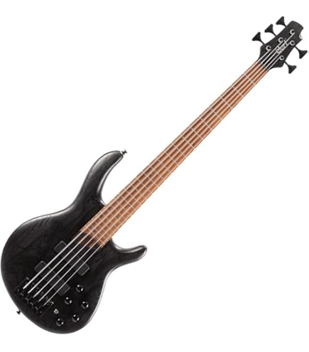 Amazon.com: Cort, 5-String Bass Guitar, Right, Open Pore