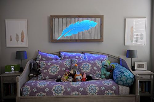Feather Shadow Box