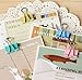 Set of 60 - ZICOME Cute Lovely Spring-Loaded File Organizer Paper Holder Metal Binder Clips, Assorted Colors