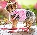 Dashin' Dogz Floral Pink Dog Harness and Matching Leash Set for XSmall and Small Breeds Like Chihuahua, Yorkys, Teacup Breeds