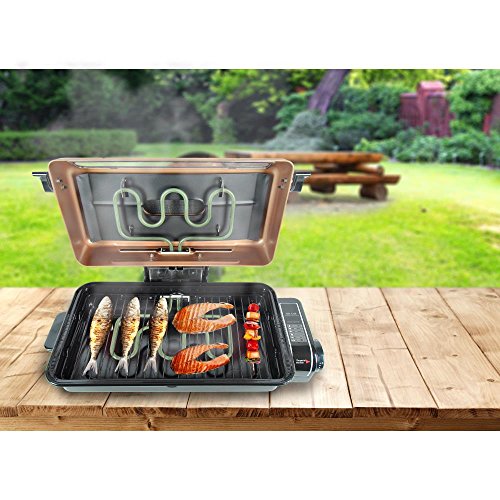 Nutrichef Electric Fish Grill Indoor Cooking Small Outdoor Backyard