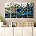 Joy Art Modern Giclee Canvas Prints Artwork the Peacock Picture Printed on Canvas Art for Wall Decor no frame