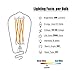 SUNMEG 8W ST21/ST64 LED Filament Bulb, vintage led light bulb, 700 Lumens, Equivalent to 70w Incandescent Bulbs, Soft Warm ( 2200K ), 120V, E26 Base, Vintage Style Antique Edison Light Bulb