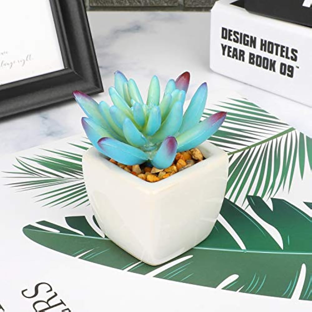 Artificial Plants,Desk Plants,Pack 4 White Ceramic Potted Succulent