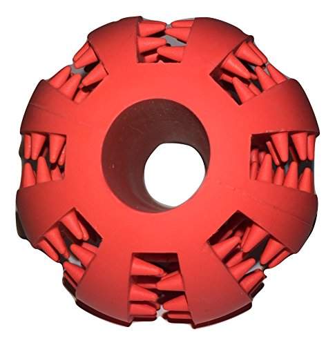 Nibble Pet Products Healthy Teeth Interactive Dog Toy Chew, Red