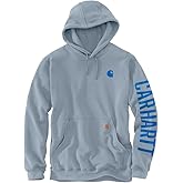 Carhartt mens Rain Defender Loose Fit Midweight C Graphic Sweatshirt