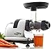 Omega Juice Extractor and Nutrition System Quiet Motor Slow Masticating Dual-Stage Extraction with Adjustable Settings, 200-Watt, Metallic