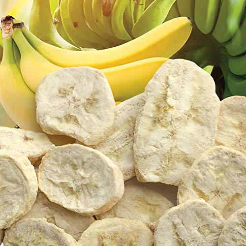 BROTHERS ALL NATURAL FREEZE DRIED FRUIT CRISPS, BANANA, 0.59 OZ (PACK OF 24), MADE WITH 100% FRUIT, GLUTEN FREE, SOY FREE, VEGAN, HEALTHY SNACK, LUNCH BOX READY