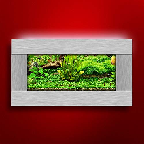 Aussie Aquariums 2.0 Wall Mounted Aquarium – View Silver Stainless Steel