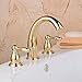 Hiendure® Widespread Two Handle Three Holes Centerset Brass Lavatory Sink Faucet Gold, Without Pop Up Drain
