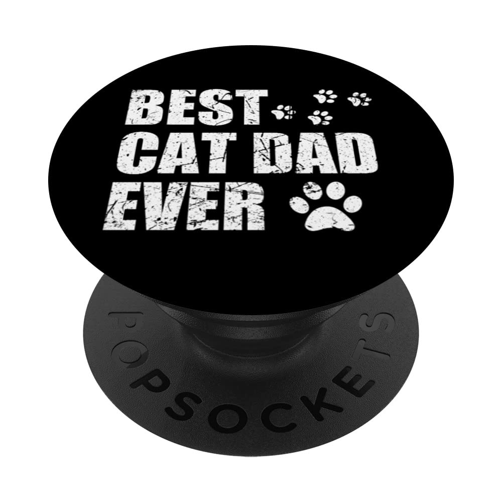 Best Cat Dad Ever For Kitten And Cat Lover - Funny Cat Daddy PopSockets Swappable PopGrip