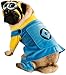 Despicable Me Minion Pet Costume, Small