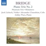 PIANO TRIO NO. 2 / PHANTASIE TRIO / MINATURES      image