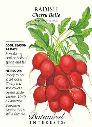 Cherry Belle Radish Seeds - 6 grams - Botanical Interests Cherry Belle Radish Seeds - 6 grams - Botanical Interests