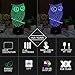 3D Illusion Animal Owl LED Desk Table Night Light Lamp 7 Color Touch Lamp Kiddie Kids Children Family Holiday Gift Home Office Childrenroom Theme Decoration by HUI YUAN