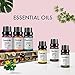 USDA Organic Essential Oils (Set of 6 10 ml) Natural Aromatherapy for Diffuser | Therapeutic Stress Relief & Relaxation Mothers Day Gift Set | Lavender Peppermint Tea Tree Lemon Orange Eucalyptus