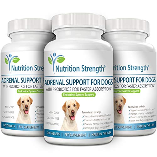 Nutrition Strength Adrenal Support for Dogs, Support for Dogs with