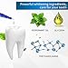 Teeth Whitening Pen,Natural Teeth Whitening Gel,Teeth Whitening Kit,Effective,Painless,Professionally Formulated & Smart Whitening,Beautiful White Smile,(2pc)