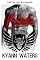 Livro Blade (Heller Raiders MC Livro 1)