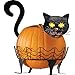 Collections Etc Black Cat Pumpkin Holder with Light Up Eyes - 3 PC