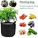 HYLONG Plant Grow Bags 30 litres Vegetable Planter Bag and 8 Gallons Potatoes Grow Bags for Potato Carrot, Planting Grow Bags – Plant Pots with Sturdy Nylon Handles (2 Pack/ 30 L)thumb 4