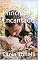 Livro O Beijo do Principe Encantado