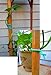 Hydrofarm HGST Soft Tie Garden Ties, Green