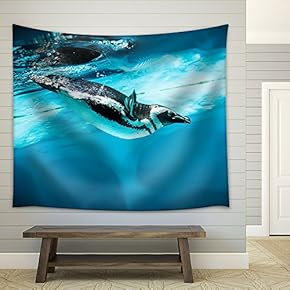 Humboldt Penguin (Spheniscus Humboldti) Also Termed Peruvian Penguin - Fabric Wall Tapestry Home Decor - 51x60 inches