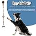 PoochieBells Original Housetraining & Potty Time Dog Doorbell w/ Pet Industry Endorsed Training Guide. Know when it’s potty time for your pooch. Handcrafted in the USA (Animal Kingdom Collection)