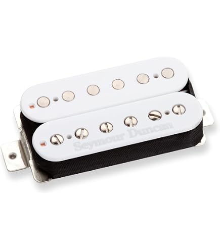 Amazon.com: Seymour Duncan Vintage Flat Strat - Neck/Middle/Bridge