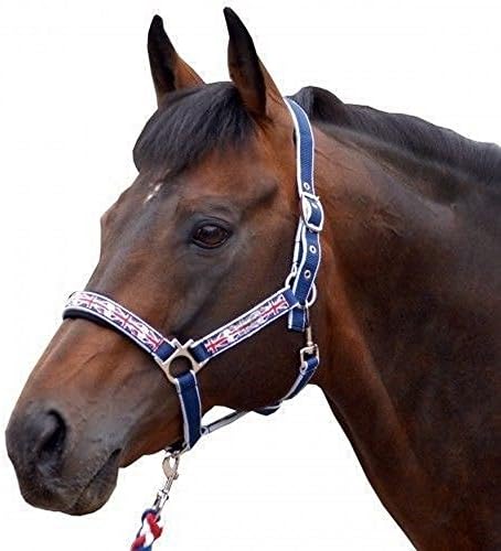 Cottage Craft Headcollar And Lead Rope Set (Full) (Union Jack)