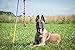 Tether Tug Fleece Rope Toy | Dog Toy for Interactive, Outdoor Play Kits & Easy Tug Toy | Ideal for Small Dogs & Puppies | One Size