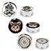 BodyJ4You Screw Fit Plugs Kit Stainless Steel Plugs 2G-12mm (6 Pieces)