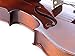 ADM Acoustic Violin 1/2 Size with Hard Case, Beginner Pack for Student, Red Brown
