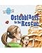 Osteoblasts to the Rescue: An Imaginative Journey Through the Skeletal System (Human Body Detectives)