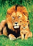 EuroGraphics Lion and Baby 1000 Piece Puzzle